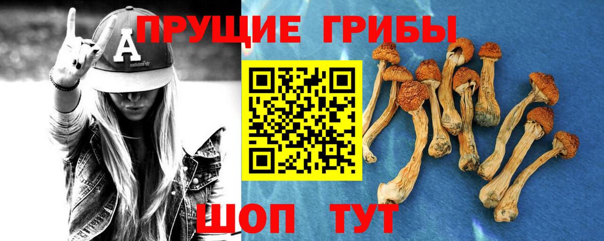 Псилоцибиновые грибы ЛСД Ахтубинск
