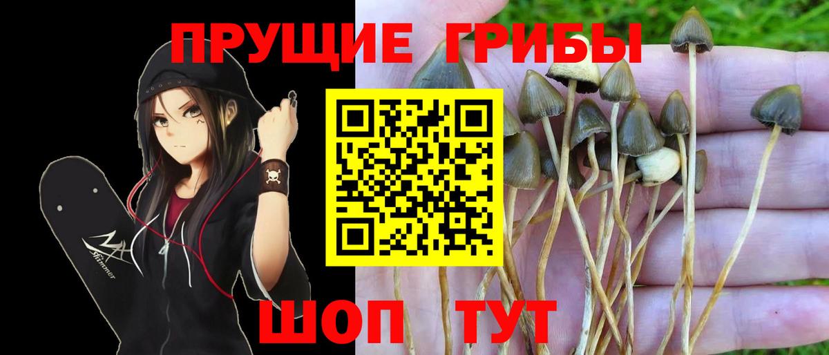 Псилоцибиновые грибы ЛСД  Псилоцибиновые грибы MAGIC MUSHROOMS  Вход с VPN  Ахтубинск 